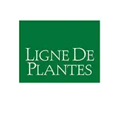 Ligne de plantes